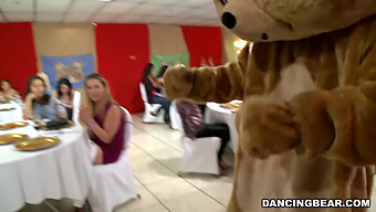 Unisciti Ai Festeggiamenti Con Il Famoso Orso Danzante In Questo Video Di Festa In Hd!