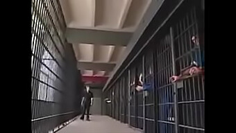 Belladonna And Co. Indulge In A Wild Group Sex Party In Prison